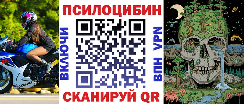 где продают   Спас-Клепики  Псилоцибиновые грибы MAGIC MUSHROOMS 